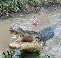 Top End Waterfalls and Wetlands - Holiday Cairns