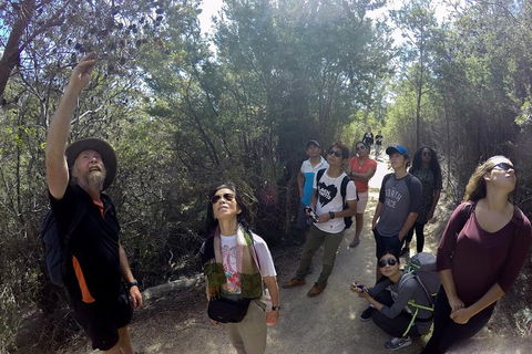 Active Day Tour One-Way From Launceston To Hobart Via Wineglass Bay - Holiday Cairns 0