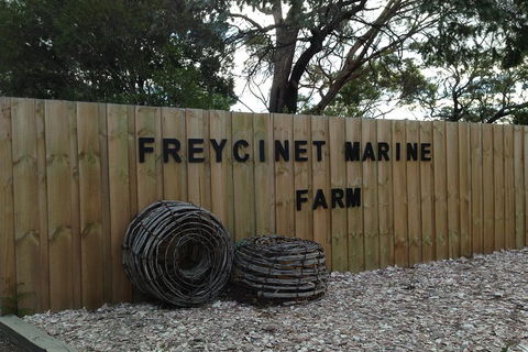 Active Day Tour One-Way From Launceston To Hobart Via Wineglass Bay - Holiday Cairns 3