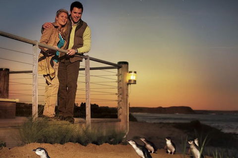 The Ultimate Melbourne Attractions Pass - Holiday Cairns 3