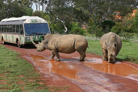 The Ultimate Melbourne Attractions Pass - Holiday Cairns 4