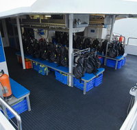 Silverswift Outer Great Barrier Reef Dive and Snorkel Cruise from Cairns
