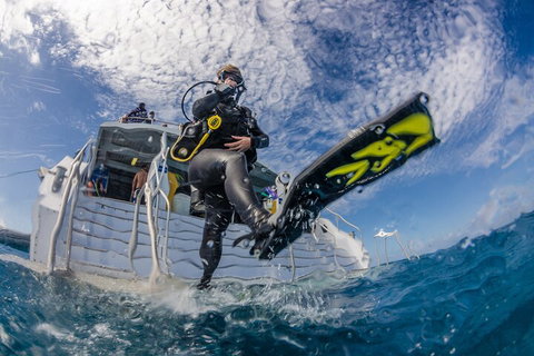 Silverswift Outer Great Barrier Reef Dive And Snorkel Cruise From Cairns - Holiday Cairns 1