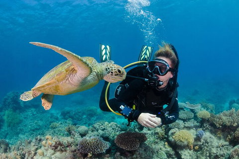Silverswift Outer Great Barrier Reef Dive And Snorkel Cruise From Cairns - Holiday Cairns 2