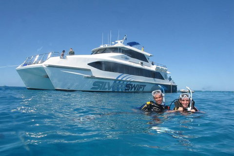 Silverswift Outer Great Barrier Reef Dive And Snorkel Cruise From Cairns - Holiday Cairns 4