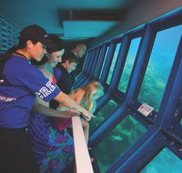 Great Barrier Reef Adventure from Cairns