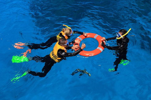 Great Barrier Reef Adventure From Cairns - Holiday Cairns 3