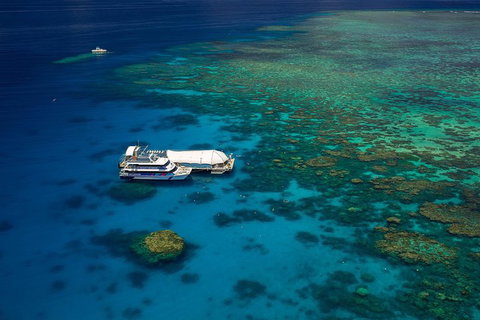 Great Barrier Reef Adventure From Cairns - Holiday Cairns 4