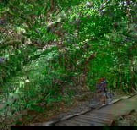 Green Island Eco Adventure from Cairns - Holiday Cairns