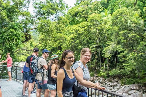 Cape Tribulation, Mossman Gorge, And Daintree Rainforest Day Trip From Cairns Or Port Douglas - Holiday Cairns 0