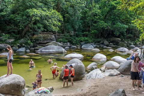 Cape Tribulation, Mossman Gorge, And Daintree Rainforest Day Trip From Cairns Or Port Douglas - Holiday Cairns 1