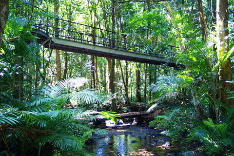 Cape Tribulation, Mossman Gorge, And Daintree Rainforest Day Trip From Cairns Or Port Douglas - Holiday Cairns 3