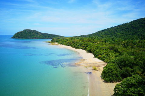Cape Tribulation, Mossman Gorge, And Daintree Rainforest Day Trip From Cairns Or Port Douglas - Holiday Cairns 5