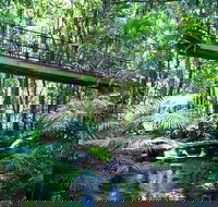 Double Pack-Ancient Rainforest and Waterfalls - Holiday Cairns