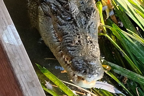 Litchfield Park Adventures And Jumping Crocodile Cruise + Butterfly Farm - Holiday Cairns 1