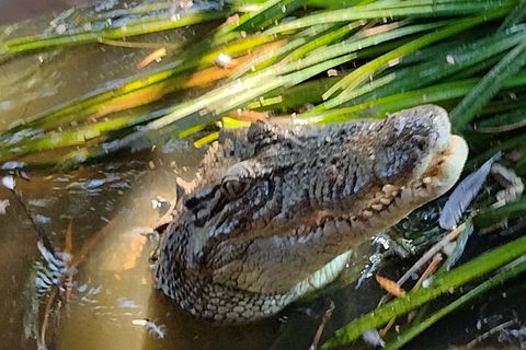 Litchfield Park Adventures And Jumping Crocodile Cruise + Butterfly Farm - Holiday Cairns 4