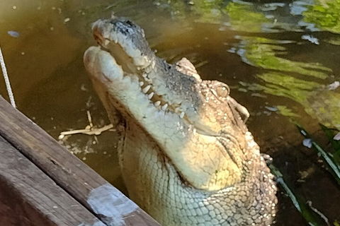 Litchfield Park Adventures And Jumping Crocodile Cruise + Butterfly Farm - Holiday Cairns 5