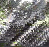 6-Day Hearty Tasmania Tour Tasmania in a Circle - Holiday Cairns