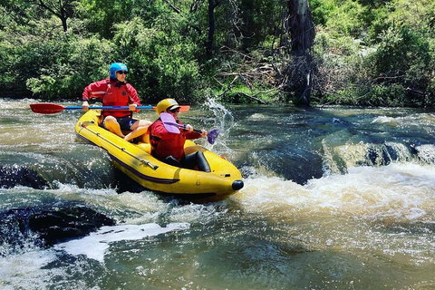 Yarra River Half-Day Rafting Experience - Holiday Cairns 4