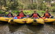 Yarra River Half-Day Rafting Experience - thumb 5