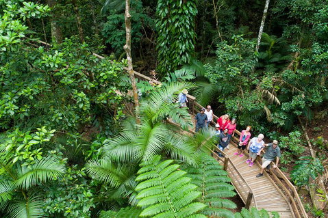 2 Day Daintree Rainforest, Cape Tribulation And Outback Chillagoe Tour - Holiday Cairns 3