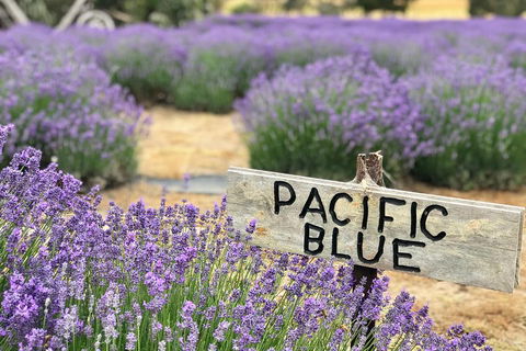Kangaroo Island Food And Wine Trail Tour - Holiday Cairns 0