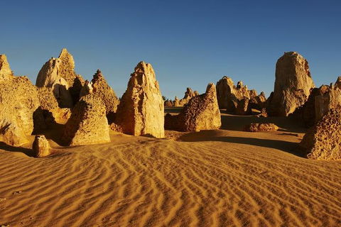 Full Day Pinnacle Desert Explorer From Perth Including Hillarys And Lancelin Sandboarding - Holiday Cairns 3