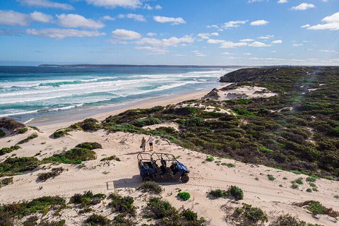 Small-Group Buggy Tour At Little Sahara With Guide - Holiday Cairns 1