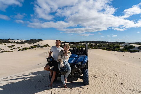 Small-Group Buggy Tour At Little Sahara With Guide - Holiday Cairns 2
