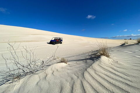 Small-Group Buggy Tour At Little Sahara With Guide - Holiday Cairns 3