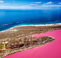 Pink Lake Small-Group Buggy Tour - Holiday Cairns