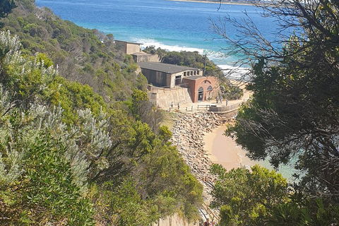 Fort Nepean And Quarantine Station Tour - Holiday Cairns 4