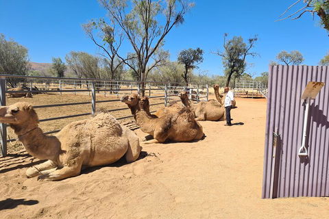West MacDonnell Ranges Half-Day Small-Group Tour With Camel Ride - Holiday Cairns 0