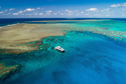 Calypso Outer Great Barrier Reef Cruise From Port Douglas - Holiday Cairns 1