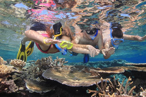 Calypso Outer Great Barrier Reef Cruise From Port Douglas - Holiday Cairns 3
