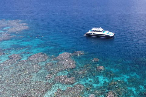 Calypso Outer Great Barrier Reef Cruise From Port Douglas - Holiday Cairns 4