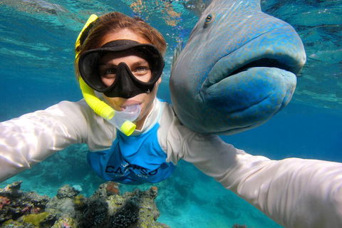 Calypso Outer Great Barrier Reef Cruise From Port Douglas - Holiday Cairns 5