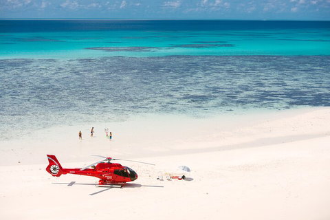 Private Helicopter Tour: Reef Island Snorkeling And Gourmet Picnic Lunch - Holiday Cairns 2