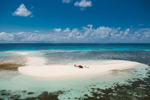 Private Helicopter Tour: Reef Island Snorkeling And Gourmet Picnic Lunch - Holiday Cairns 4
