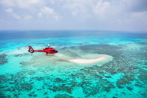 Private Helicopter Tour: Reef Island Snorkeling And Gourmet Picnic Lunch - Holiday Cairns 5