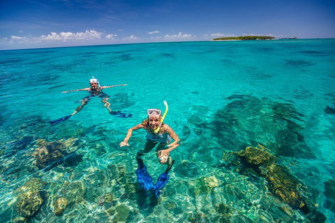 Fly To Green Island - Cruise Return - Holiday Cairns 4