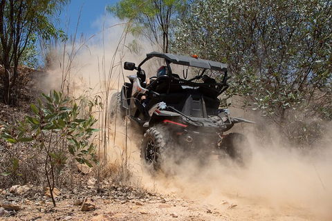 License To Thrill: 1.5 Hour Off-road Tour In Darwin (1 Person: 2 Seater Vehicle) - Holiday Cairns 3