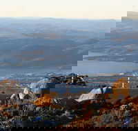 Mt. Wellington Bonorong and Richmond Day Tour from Hobart - Holiday Cairns