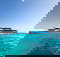 Fremantle to Rottnest Island Roundtrip Ferry Ticket - Holiday Cairns