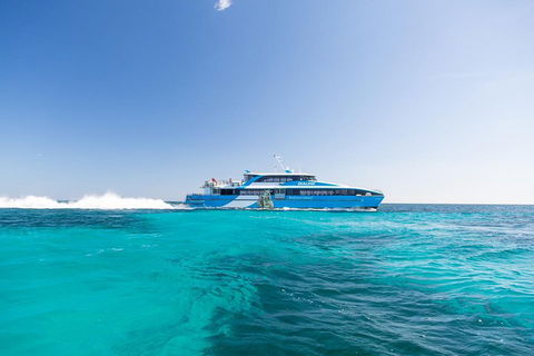 Fremantle To Rottnest Island Roundtrip Ferry Ticket - Holiday Cairns 0
