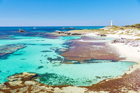 Fremantle To Rottnest Island Roundtrip Ferry Ticket - Holiday Cairns 2