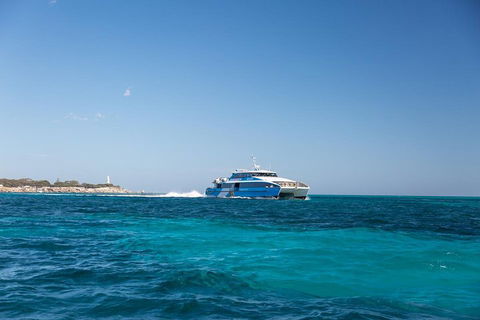 Fremantle To Rottnest Island Roundtrip Ferry Ticket - Holiday Cairns 5