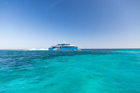 Rottnest Island Bike & Ferry Package From Fremantle - Holiday Cairns 0
