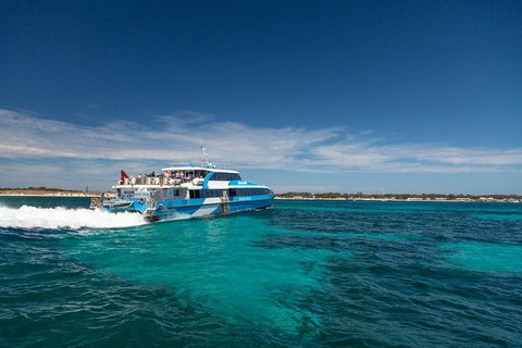 Rottnest Island Bike & Ferry Package From Fremantle - Holiday Cairns 4