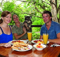 Breakfast with the Koalas at Hartley's Crocodile Park from Cairns or Palm Cove